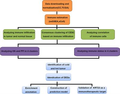 Transcriptome Analysis Reveals the Immune Infiltration Profiles in Cervical Cancer and Identifies KRT23 as an Immunotherapeutic Target